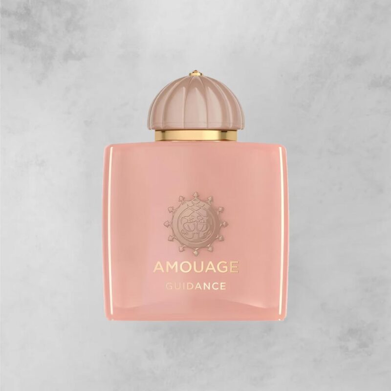 آمواج گایدنس