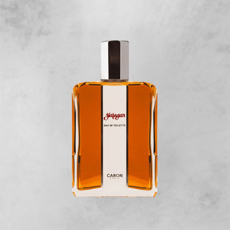 کارون یاتاقان CARON - Yatagan